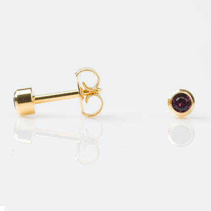 STUDEX Regular Gold Plated Stainless Steel Bezel February – Amethyst Earrings
